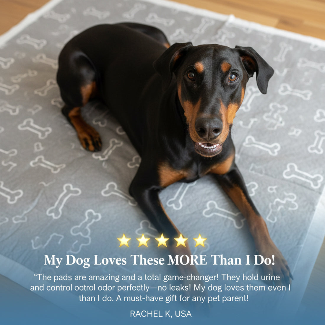 2 Pack Novapaw Pup Pad