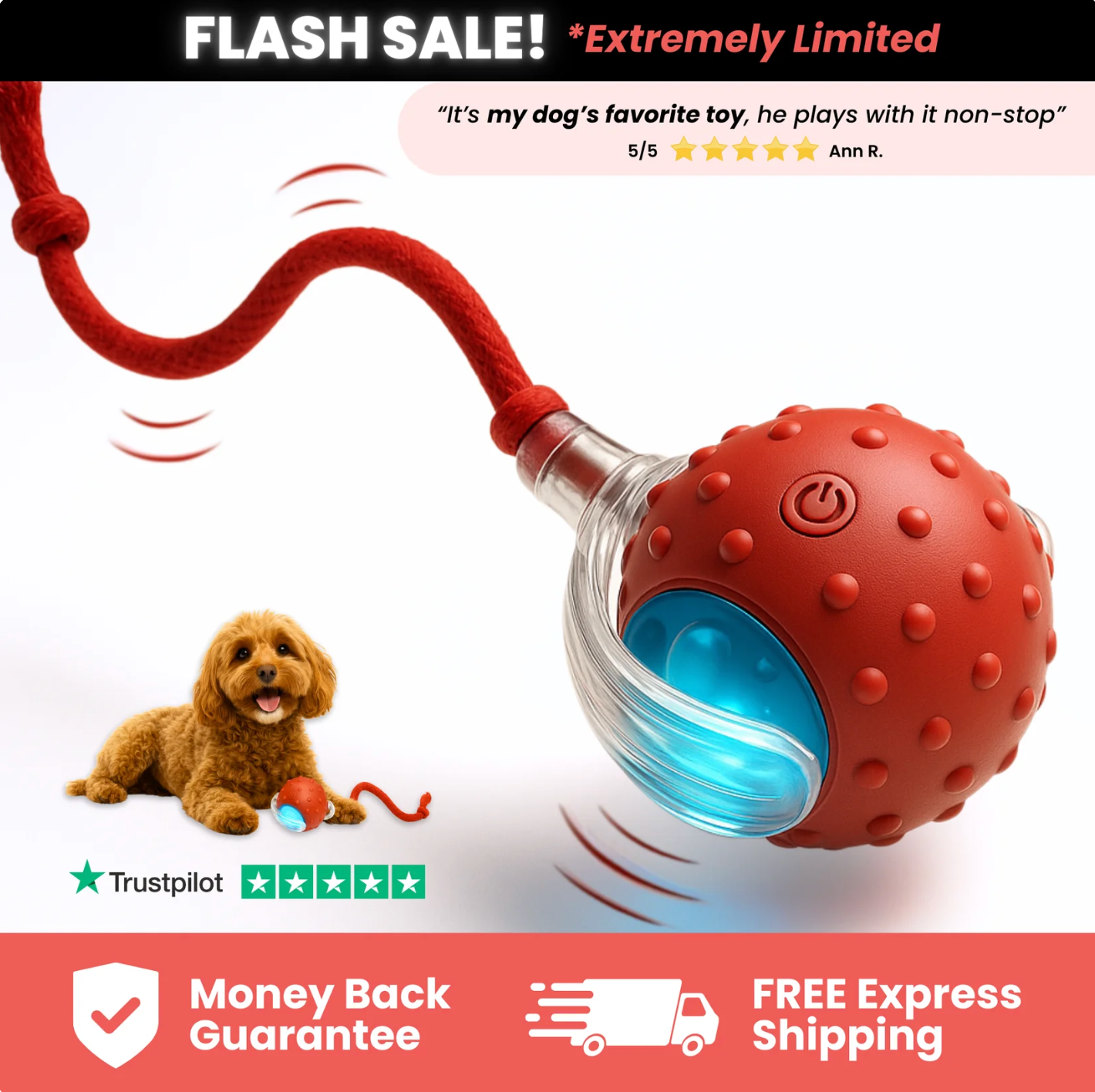 ChaseMate (4-Pack)